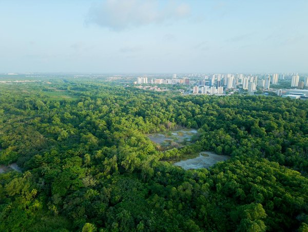 Top avis sur pixpay : découvrez les retours des utilisateurs