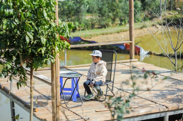 Où trouver les meilleures offres pour acheter dogecoin ?